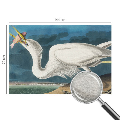 Poszter tapéta falra Madár hallal