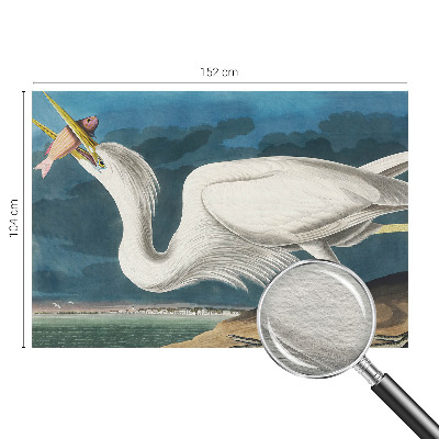 Poszter tapéta falra Madár hallal