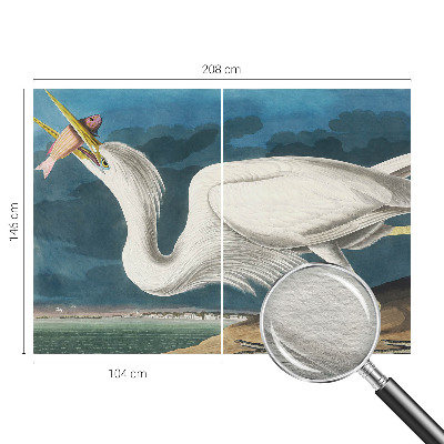 Poszter tapéta falra Madár hallal