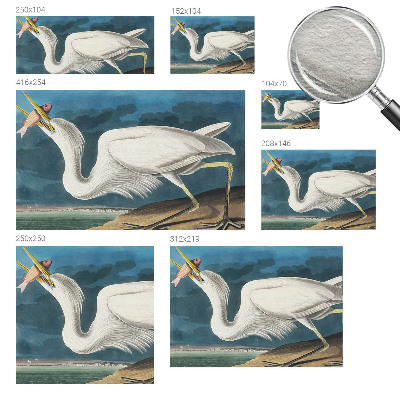 Poszter tapéta falra Madár hallal