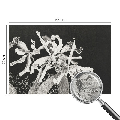 Óriás fotótapéta Orchidea illusztráció