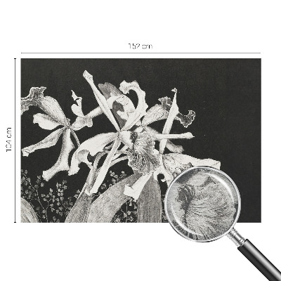 Óriás fotótapéta Orchidea illusztráció