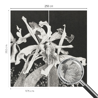 Óriás fotótapéta Orchidea illusztráció