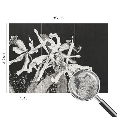 Óriás fotótapéta Orchidea illusztráció
