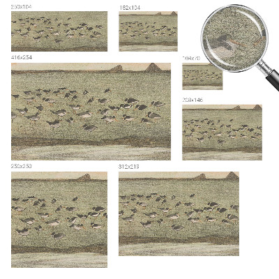 Prémium vlies fotótapéta Madár békéje