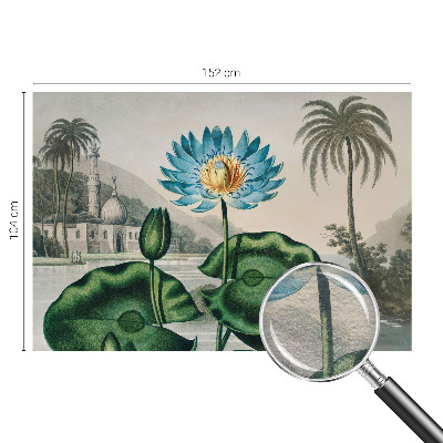 Fali poszter tapéta Egzotikus táj