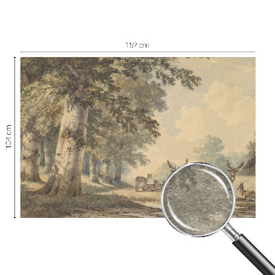 Fotótapéta méretre hálószobába Erdő békéje