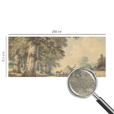 Fotótapéta méretre hálószobába Erdő békéje