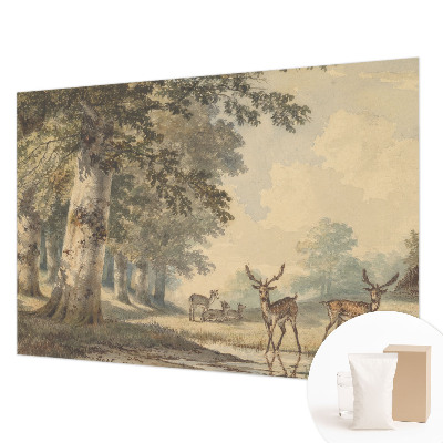 Fotótapéta méretre hálószobába Erdő békéje