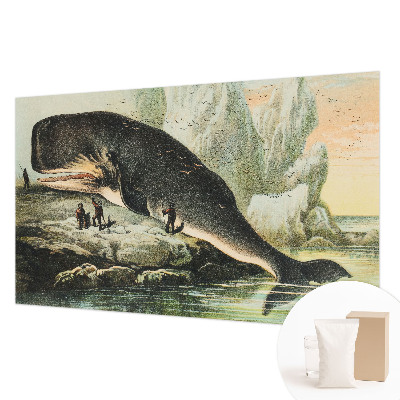 Fotótapéta méretre hálószobába Tengeri gigantizmus