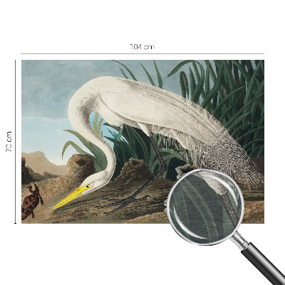 Kép tapéta Fenséges gém