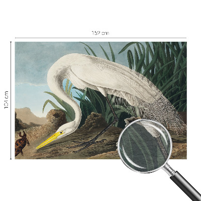 Kép tapéta Fenséges gém