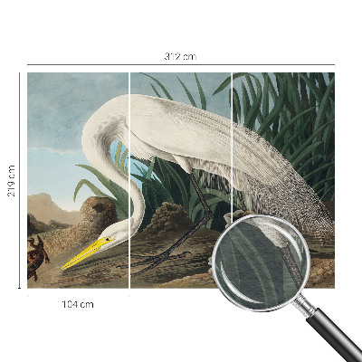 Kép tapéta Fenséges gém