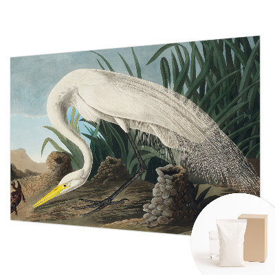 Kép tapéta Fenséges gém