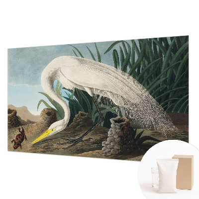 Kép tapéta Fenséges gém