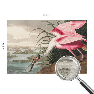 Óriás fotótapéta Egzotikus madár