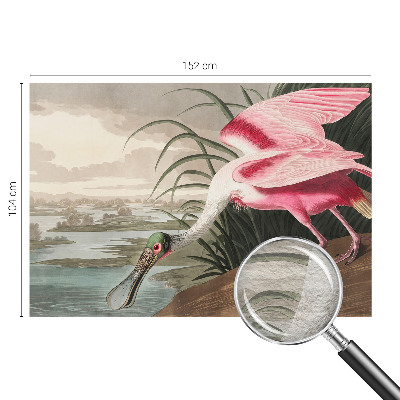 Óriás fotótapéta Egzotikus madár