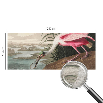 Óriás fotótapéta Egzotikus madár