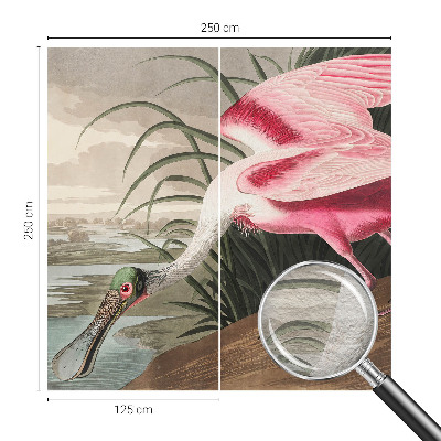 Óriás fotótapéta Egzotikus madár