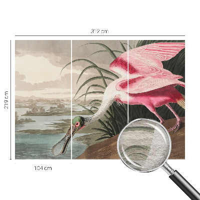 Óriás fotótapéta Egzotikus madár