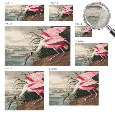 Óriás fotótapéta Egzotikus madár