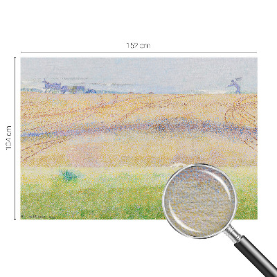 Fényképes tapéta Nyári mező