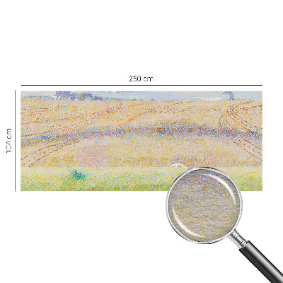 Fényképes tapéta Nyári mező