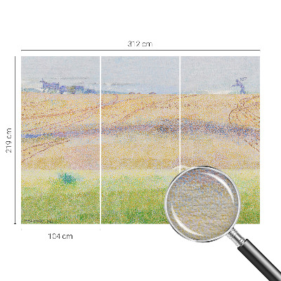 Fényképes tapéta Nyári mező