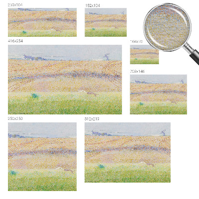 Fényképes tapéta Nyári mező