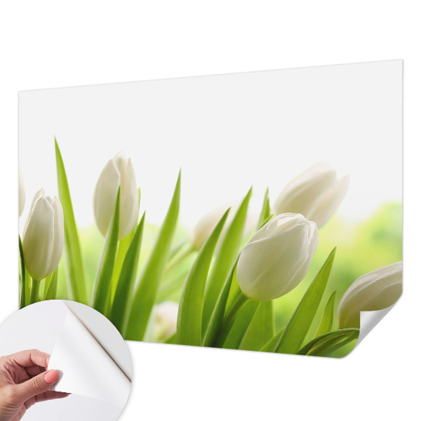 Öntapadós fotótapéta nappaliba Fehér tulipánok