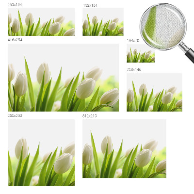 Öntapadós fotótapéta nappaliba Fehér tulipánok