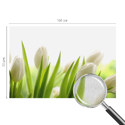 Öntapadós fotótapéta nappaliba Fehér tulipánok
