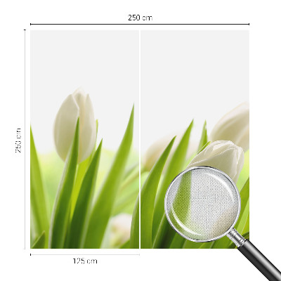 Öntapadós fotótapéta nappaliba Fehér tulipánok