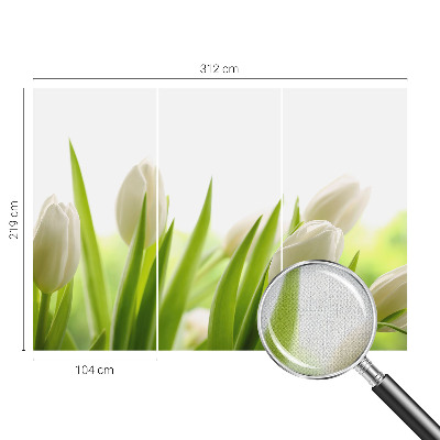 Öntapadós fotótapéta nappaliba Fehér tulipánok