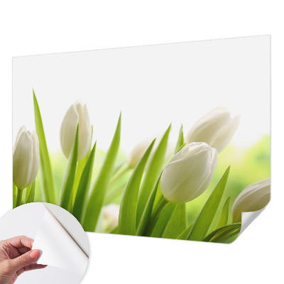 Öntapadós fotótapéta nappaliba Fehér tulipánok