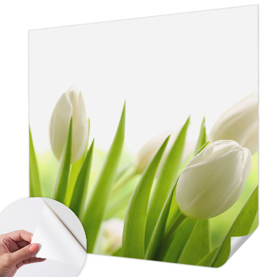 Öntapadós fotótapéta nappaliba Fehér tulipánok