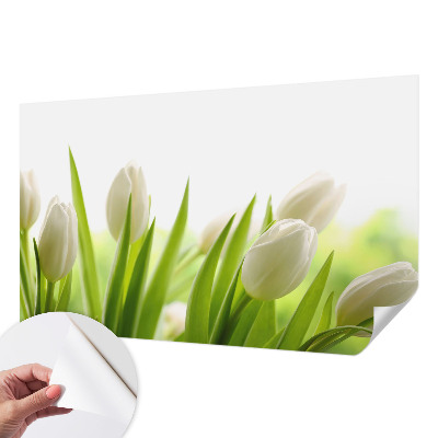 Öntapadós fotótapéta nappaliba Fehér tulipánok