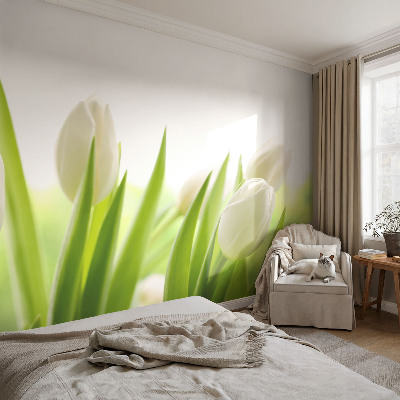 Öntapadós fotótapéta nappaliba Fehér tulipánok