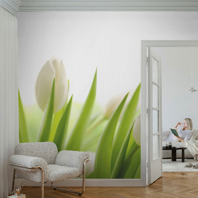 Öntapadós fotótapéta nappaliba Fehér tulipánok