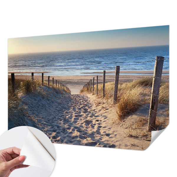 Modern tapéta Strand ösvény