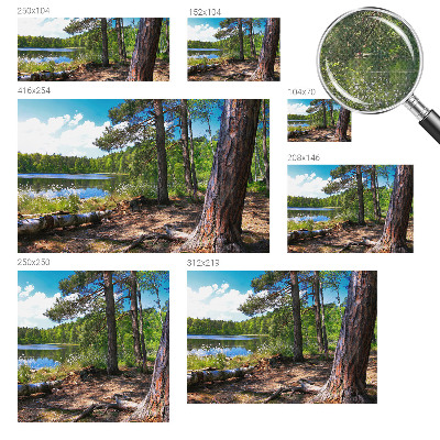 Különleges fotótapéta Erdő táj