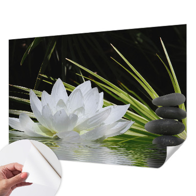Fotótapéta gyerekszobába Liliom meditáció