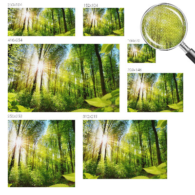 Hálószoba fotótapéta Erdei fény