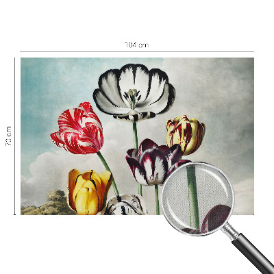 Különleges fotótapéta Színes tulipánok