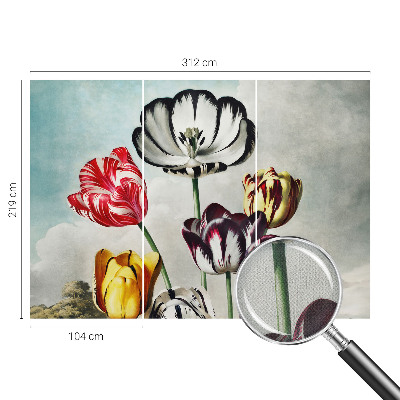 Különleges fotótapéta Színes tulipánok