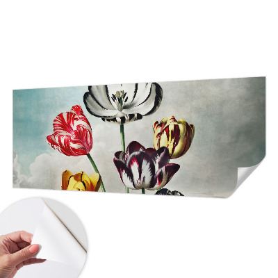 Különleges fotótapéta Színes tulipánok