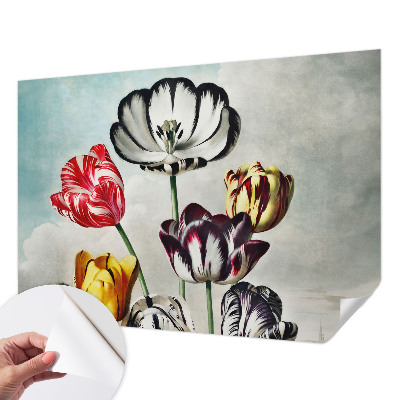 Különleges fotótapéta Színes tulipánok