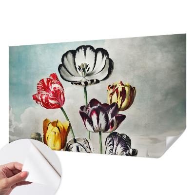 Különleges fotótapéta Színes tulipánok