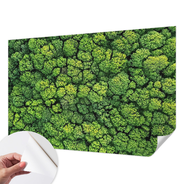 Fotótapéta 3D Erdei panoráma