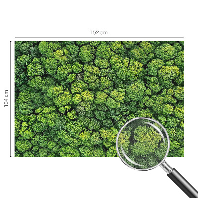 Fotótapéta 3D Erdei panoráma
